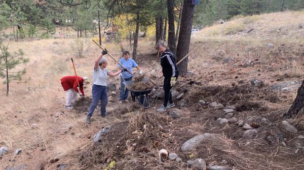 FireSmart Volunteers Anarchist Mtn Area A