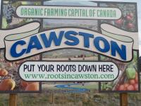 Cawston_Sign_G_Bush.jpg