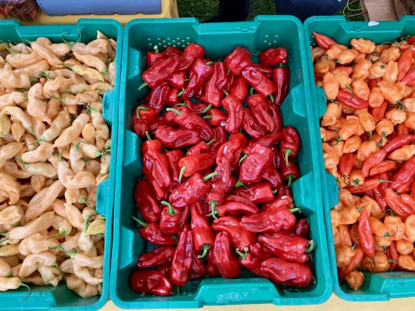 Sizzle Peppers