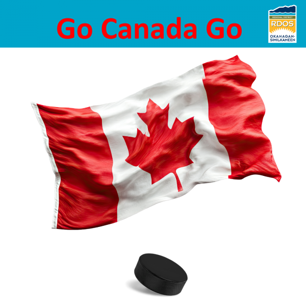 RDOS Info Release 2025 NEW 