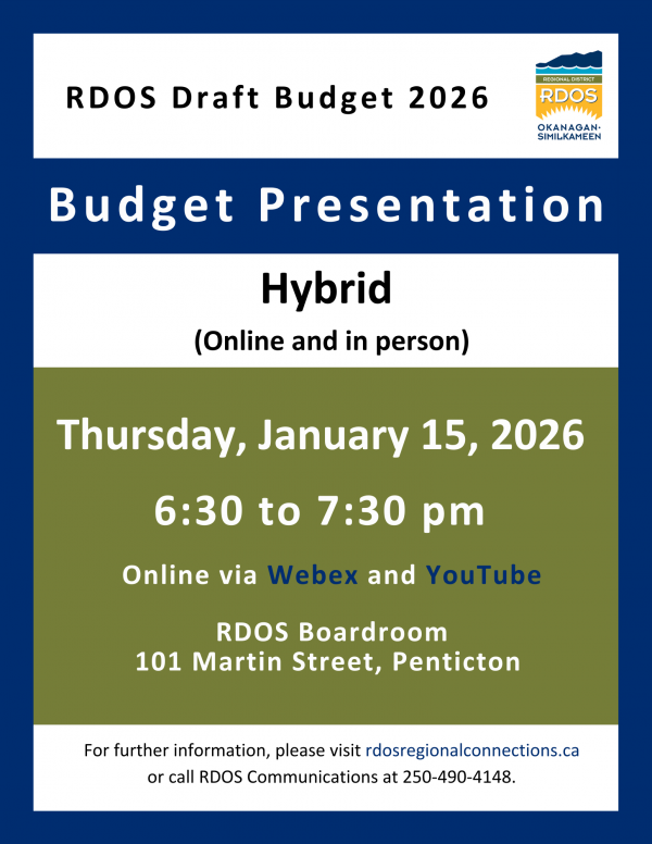 RDOS Draft Budget presentation online 