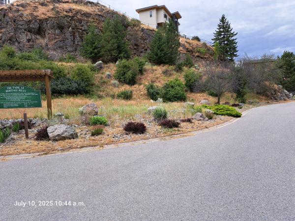 GP Before Path Entrance3